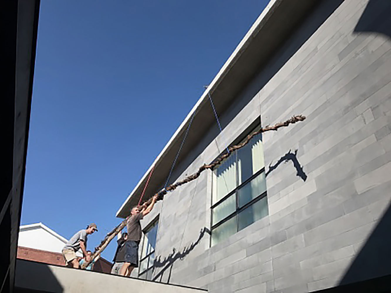 Custom Grape Vine - B.E Architecture-1