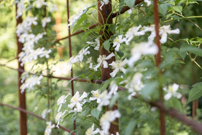 弗德布吕格林的梅里安花园丨瑞士丨Fontana Landschaftsarchitektur-3