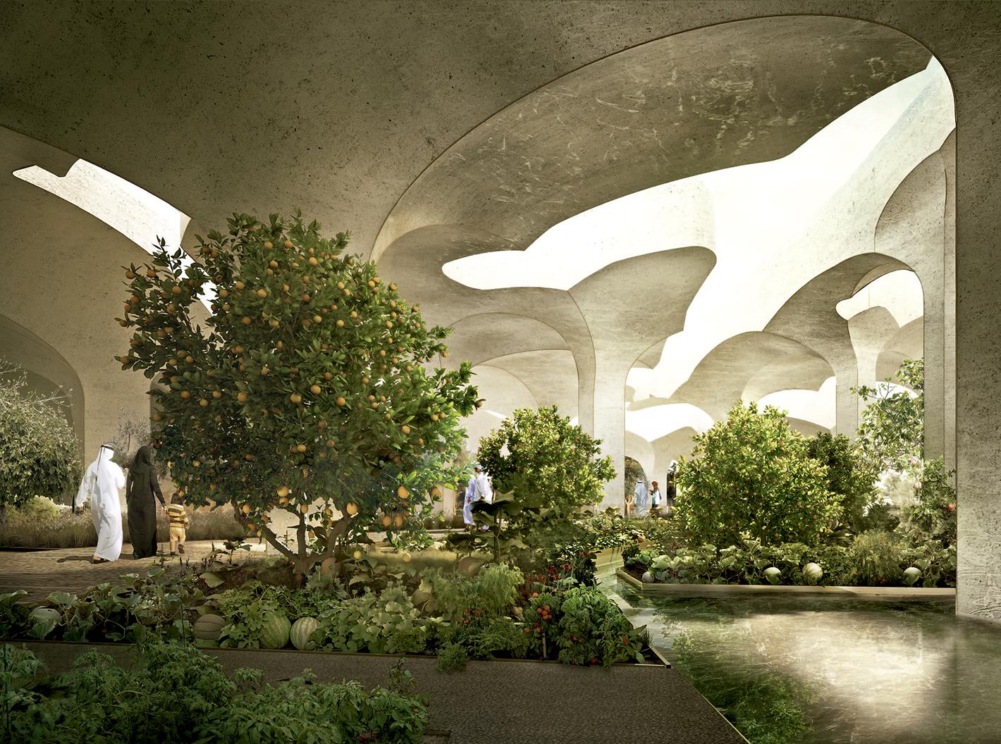 阿布扎比 Al Fayah 公园-3