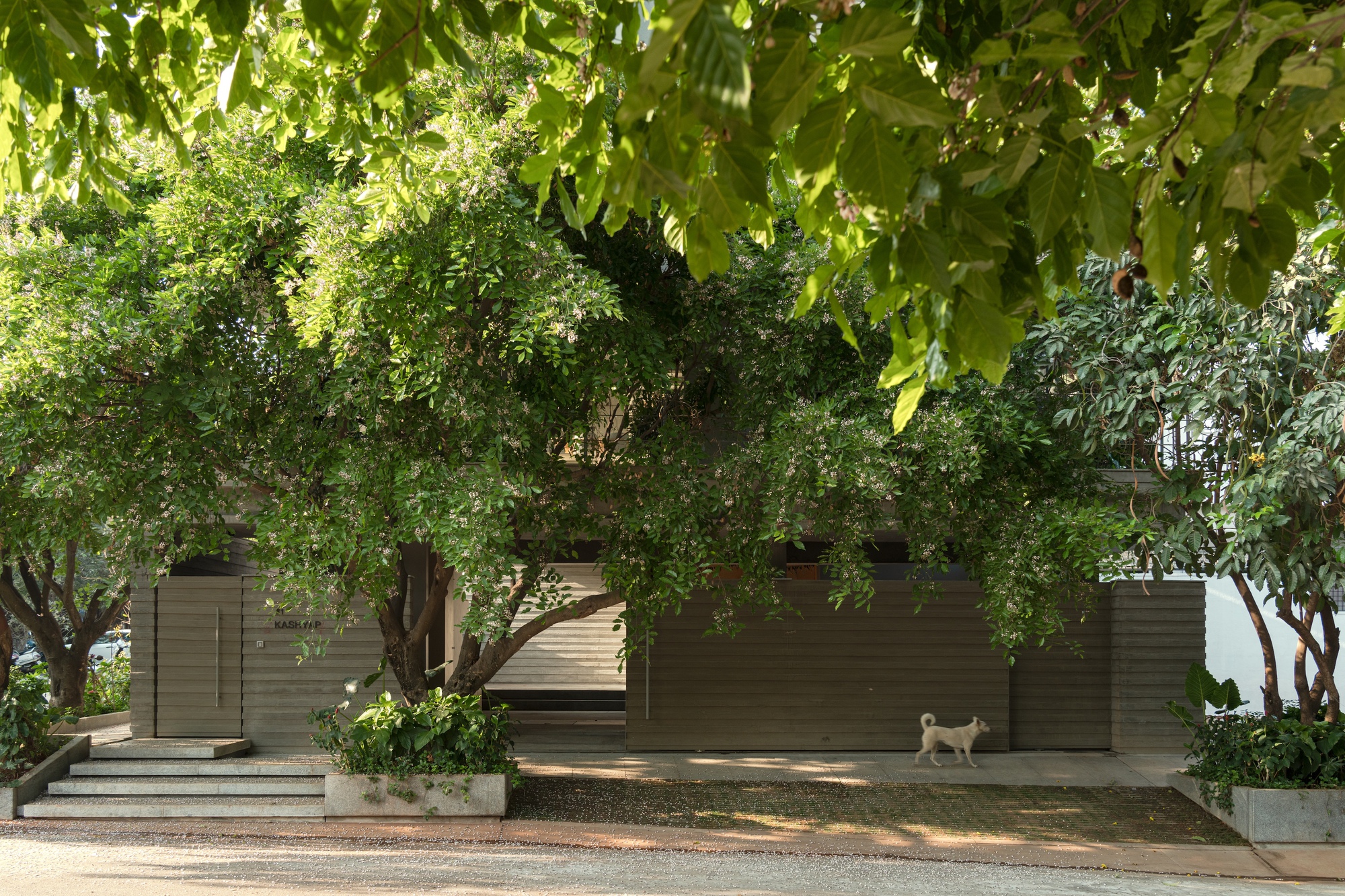 阶梯井屋丨印度班加罗尔丨A Threshold-42