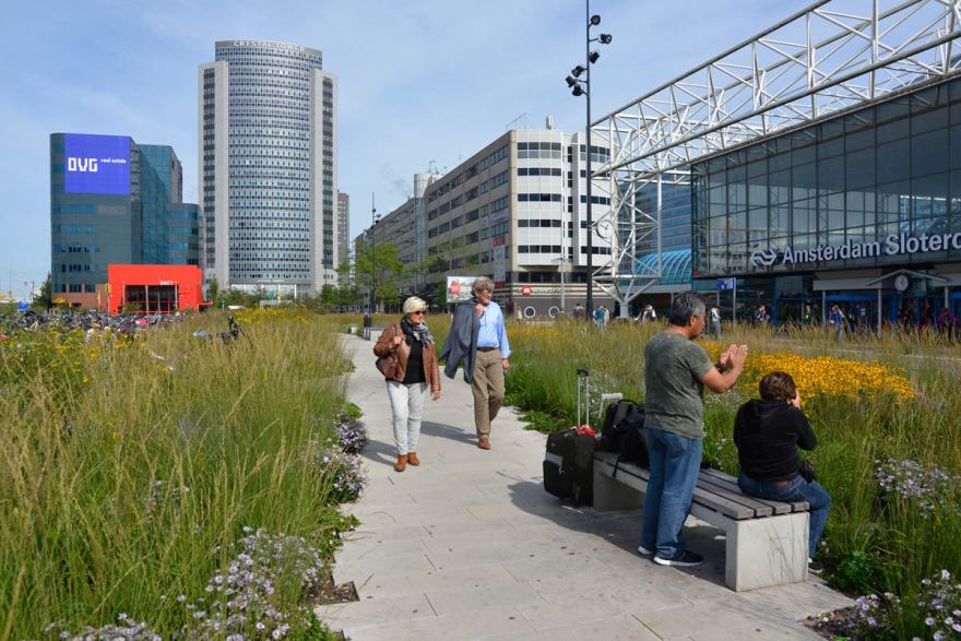 阿姆斯特丹交通枢纽绿色公共空间惊艳变身-15