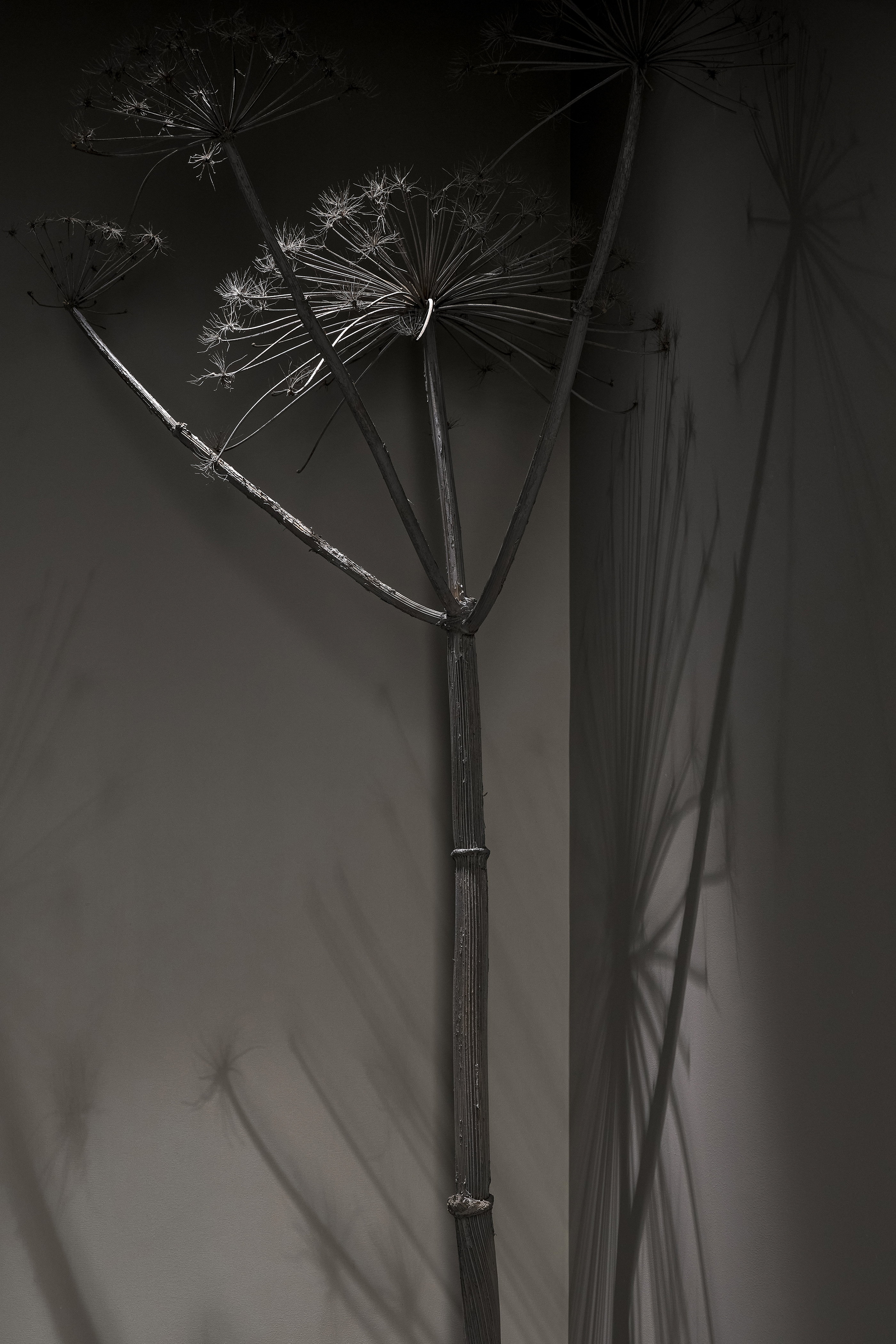 MIRAGE 电影院丨俄罗斯丨DA bureau-59