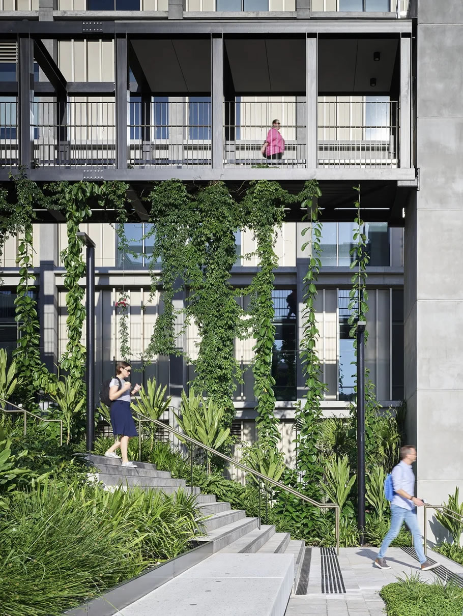 布里斯班 STARS 诊疗中心丨澳大利亚布里斯班丨Hassell-24