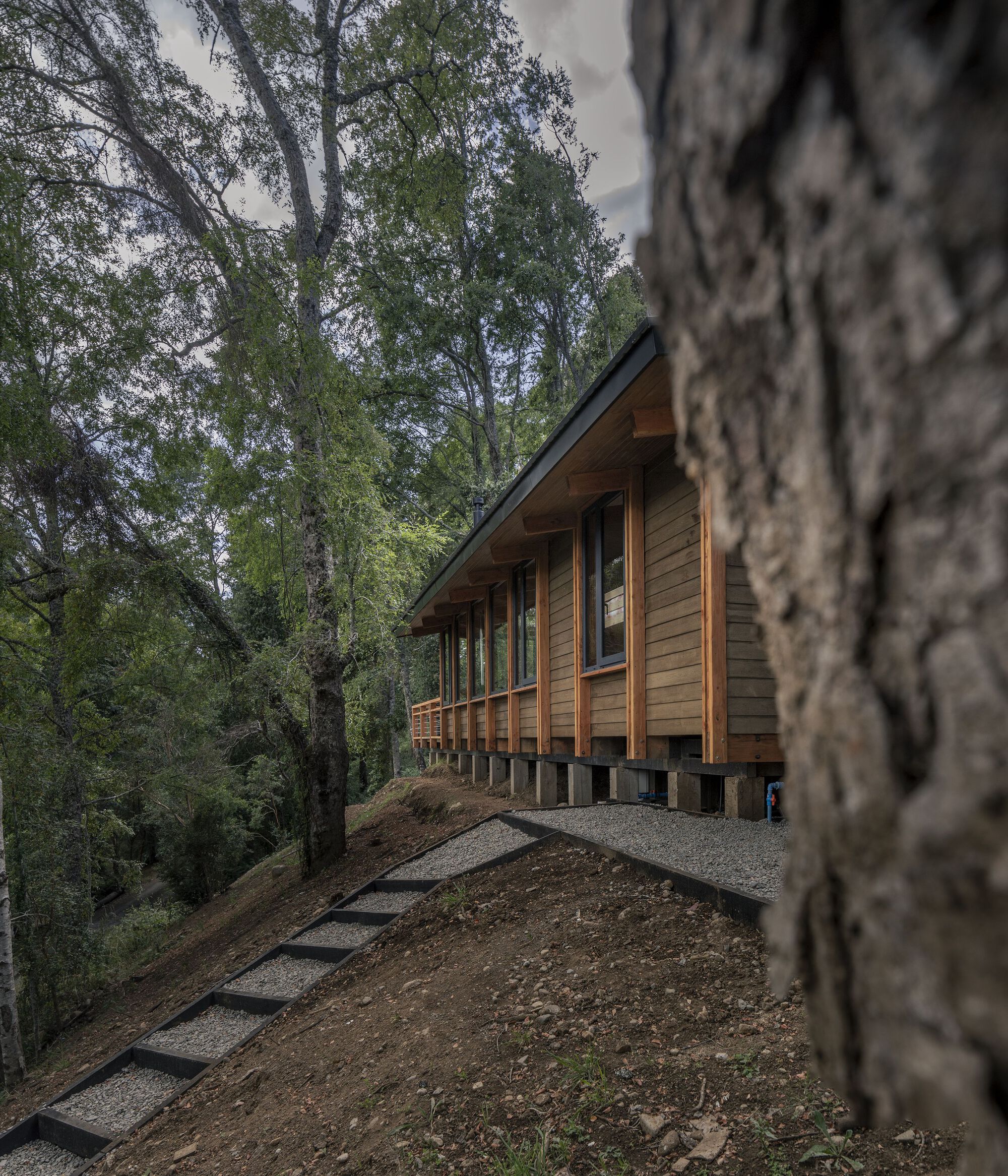 画廊住宅丨智利丨Antonia Cabezón,Pabla Amigo-13