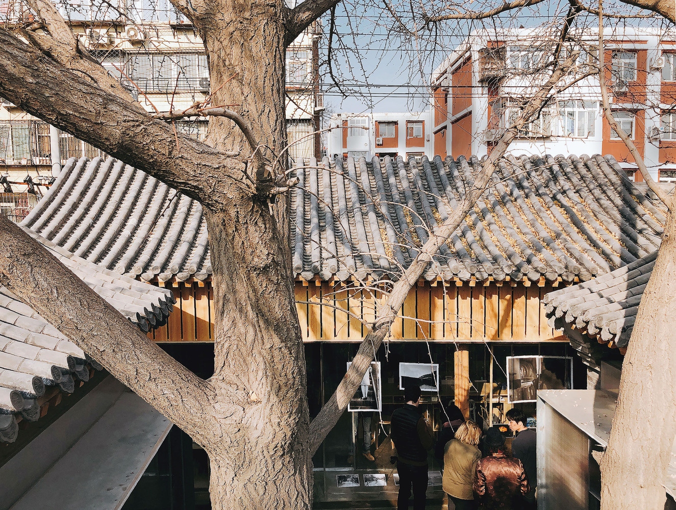 胡同里的生命实验室-98