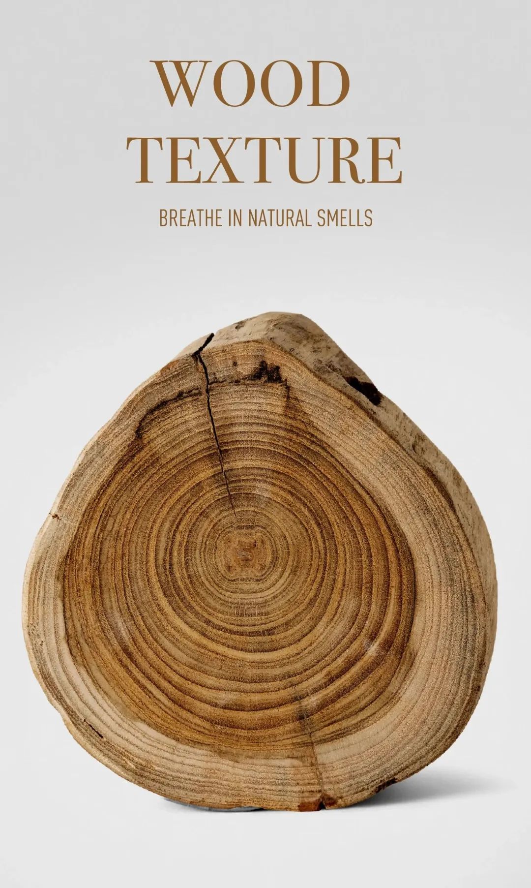 深圳创智公馆丨中国深圳-7