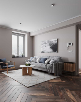 Modern House with Scandinavian