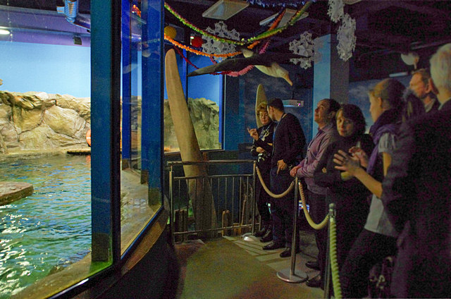 圣彼得堡海洋馆新展览创建项目丨俄罗斯圣彼得堡-2