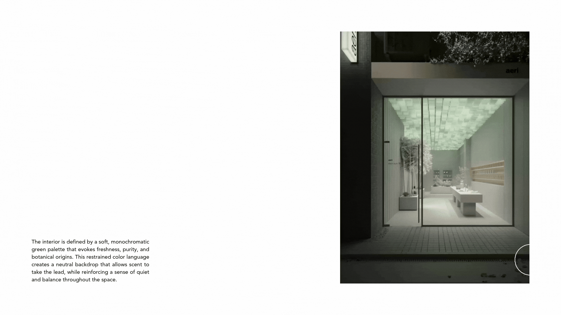aeri fragrance store-6