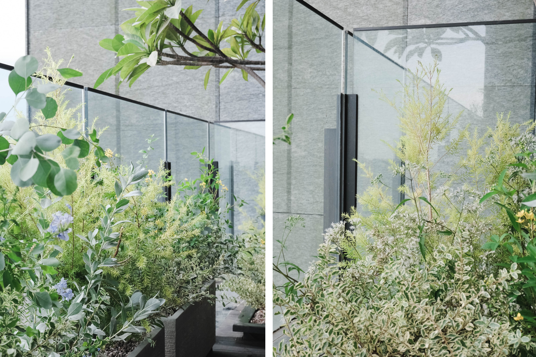 住宅案 | 中壢區 | 陽台景觀設計-3