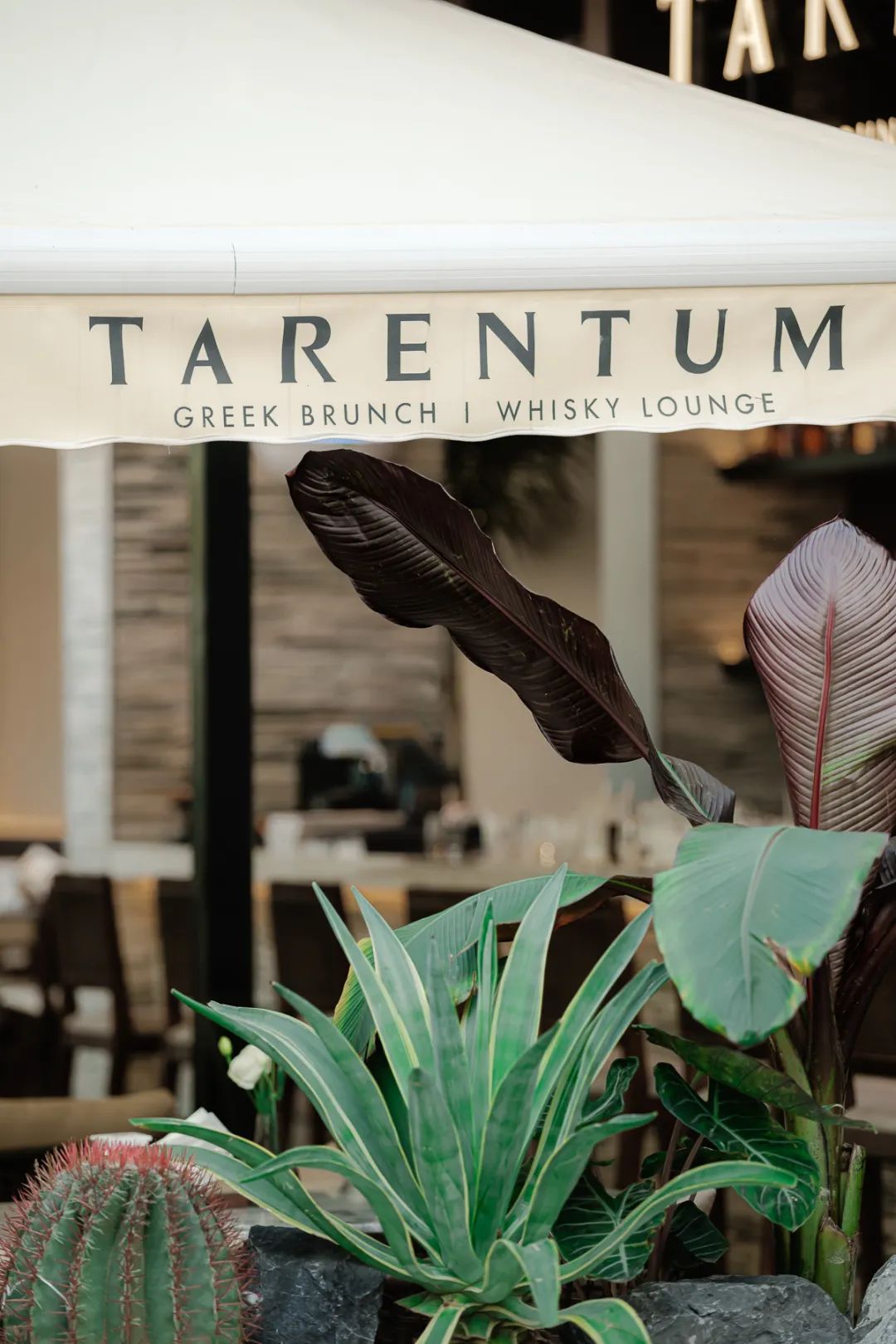 TARENTUM 萄木丨中国深圳丨RBD DESIGN BOX 瑞本设计-1