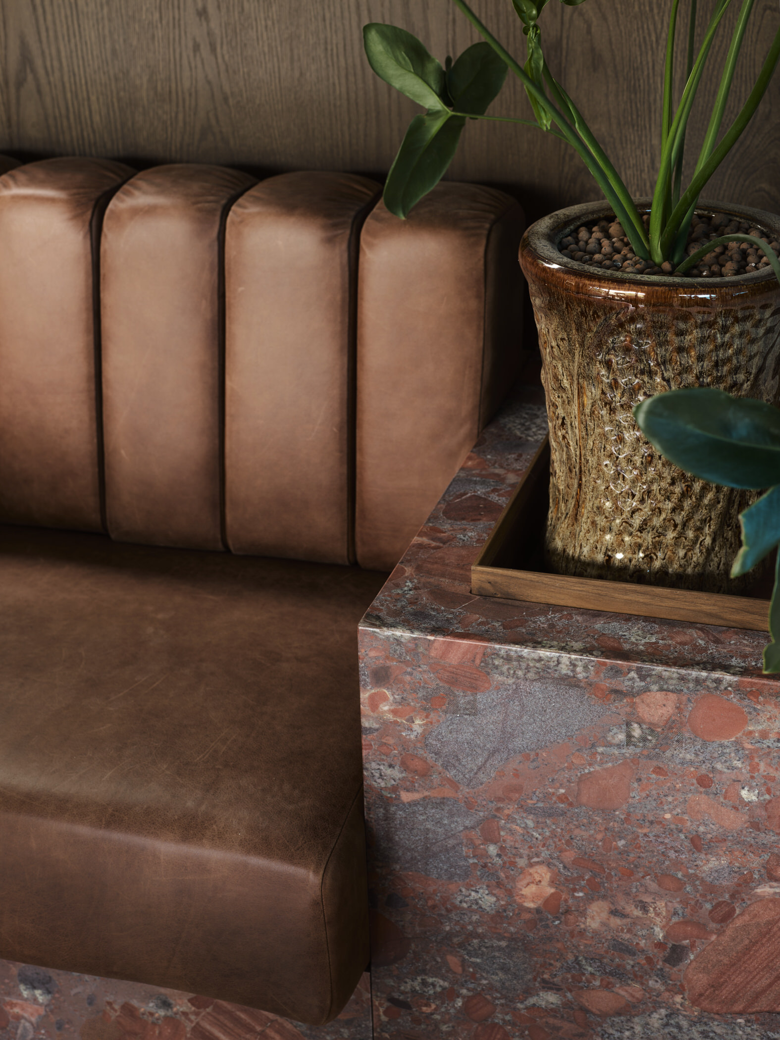 Tamarama 住宅丨澳大利亚悉尼丨Flack Studio-56