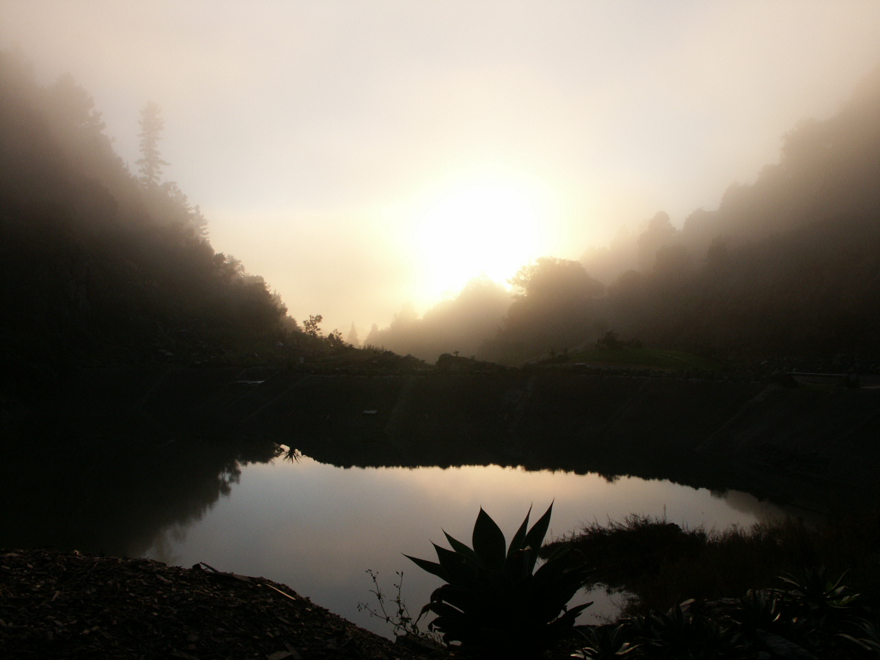 丨无相关信息-16