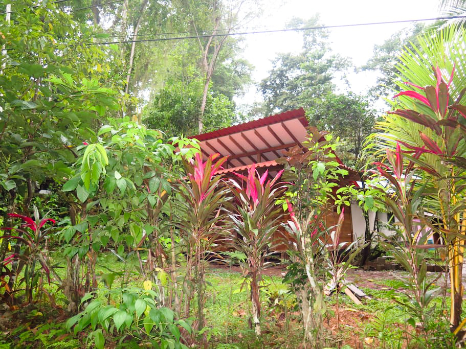 简易风格高脚木屋设计-34