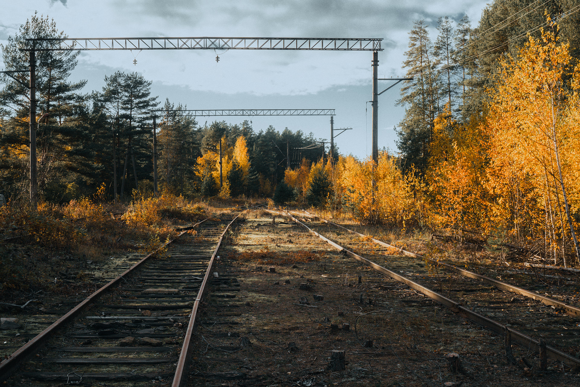 俄罗斯列宁格勒地区森林探险-5