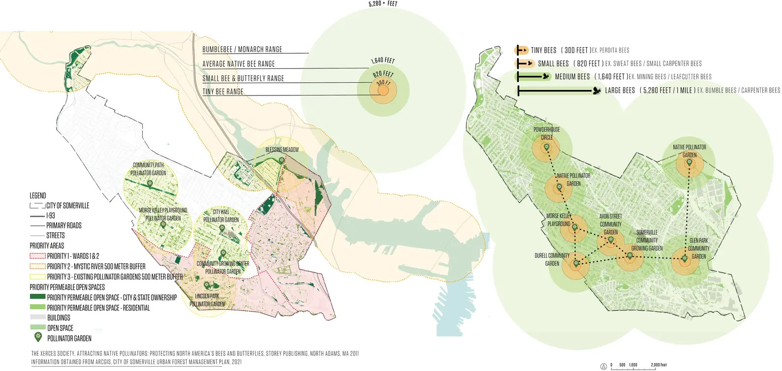 萨默维尔授粉昆虫行动计划丨美国丨Offshoots,Inc.-23