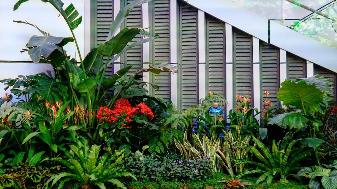 深圳华润万象前海商业花境设计及落地丨中国深圳丨深圳本末度景观设计有限公司-83