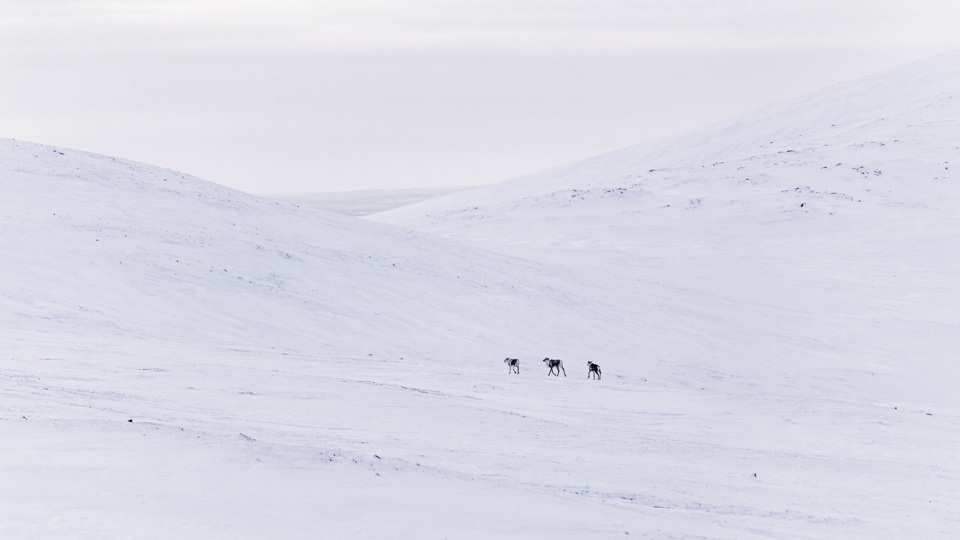 旅行的艺术 | Daniel Koh 的风景摄影-32