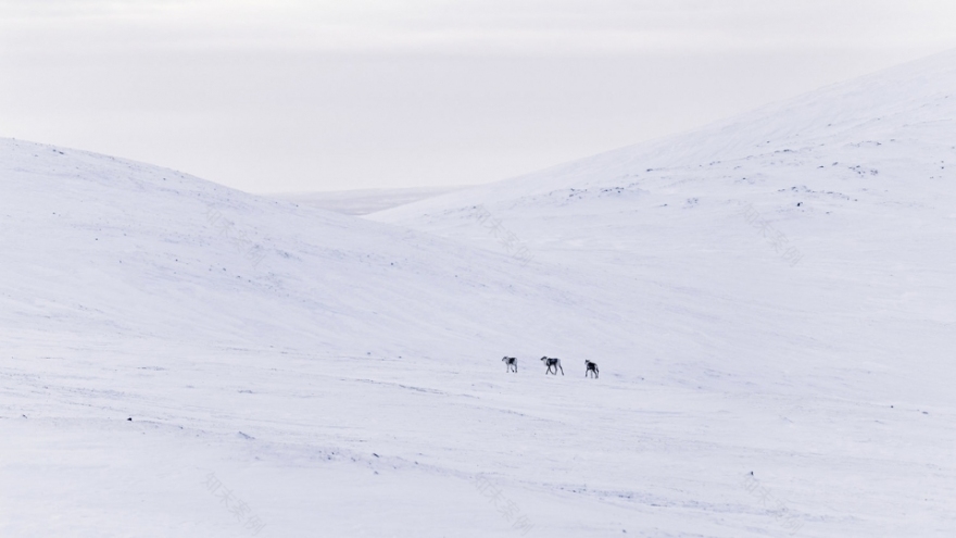 旅行的艺术 | Daniel Koh 的风景摄影-32