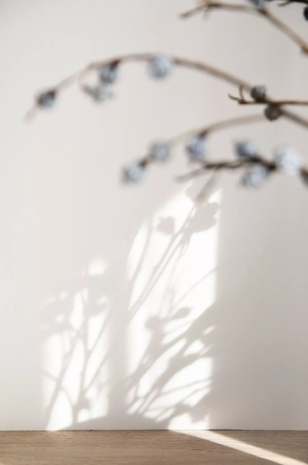 范盈打造 125 平米清欢空间 | 绿城明园-10