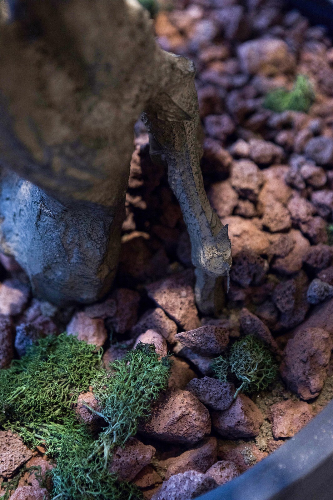 金香汇(太原街店)丨有田建筑工程设计有限公司-26