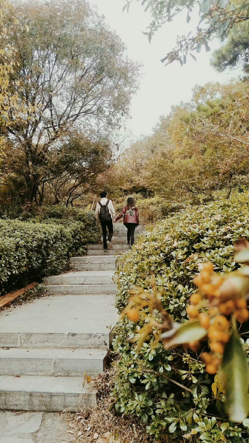 栖霞山的爱 · 婚房设计与改造之旅-27