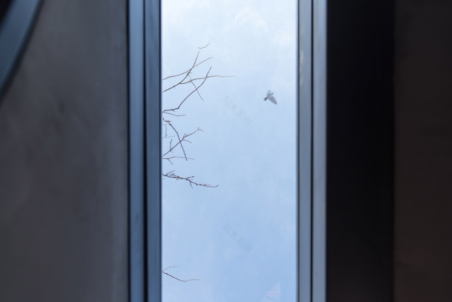 微介入下的四合院茶室 · 北京草厂北巷 24 号改造-60