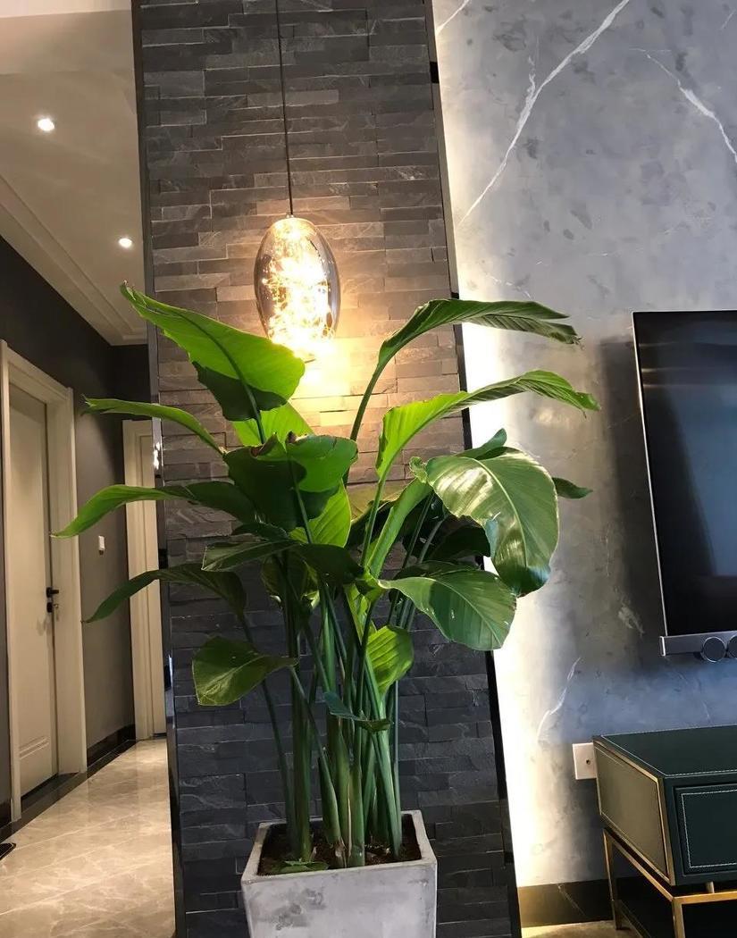 复古浓彩家居设计,演绎工业风与文艺美的碰撞-12