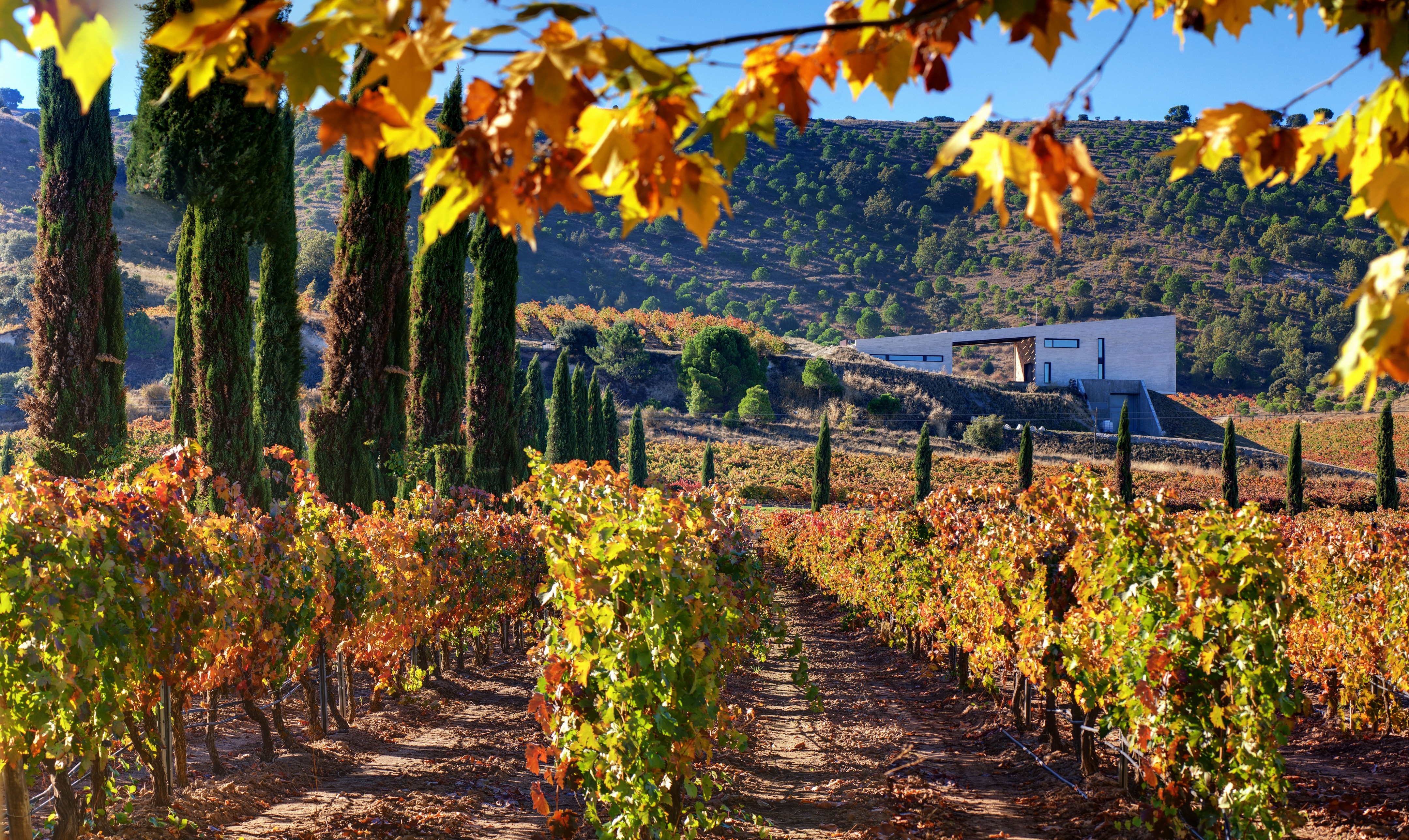 Vldemonjas 酒庄——绿色环保、高效能的现代酒庄设计-10