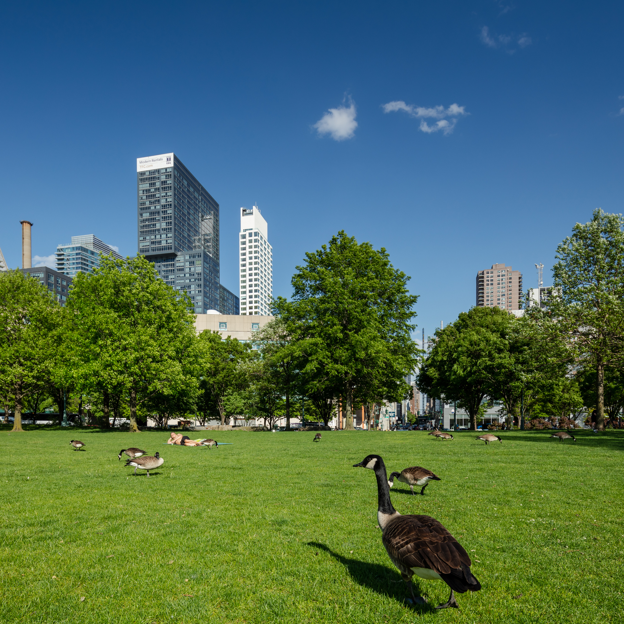 西 56 街 611 号塔楼丨美国纽约丨Álvaro Siza Vieira-31