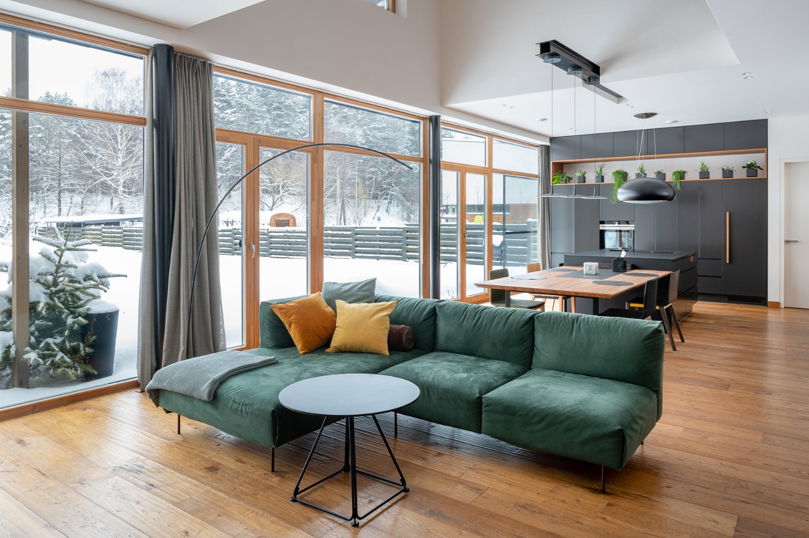 立陶宛活力自然景观别墅  A2SM Architects-13