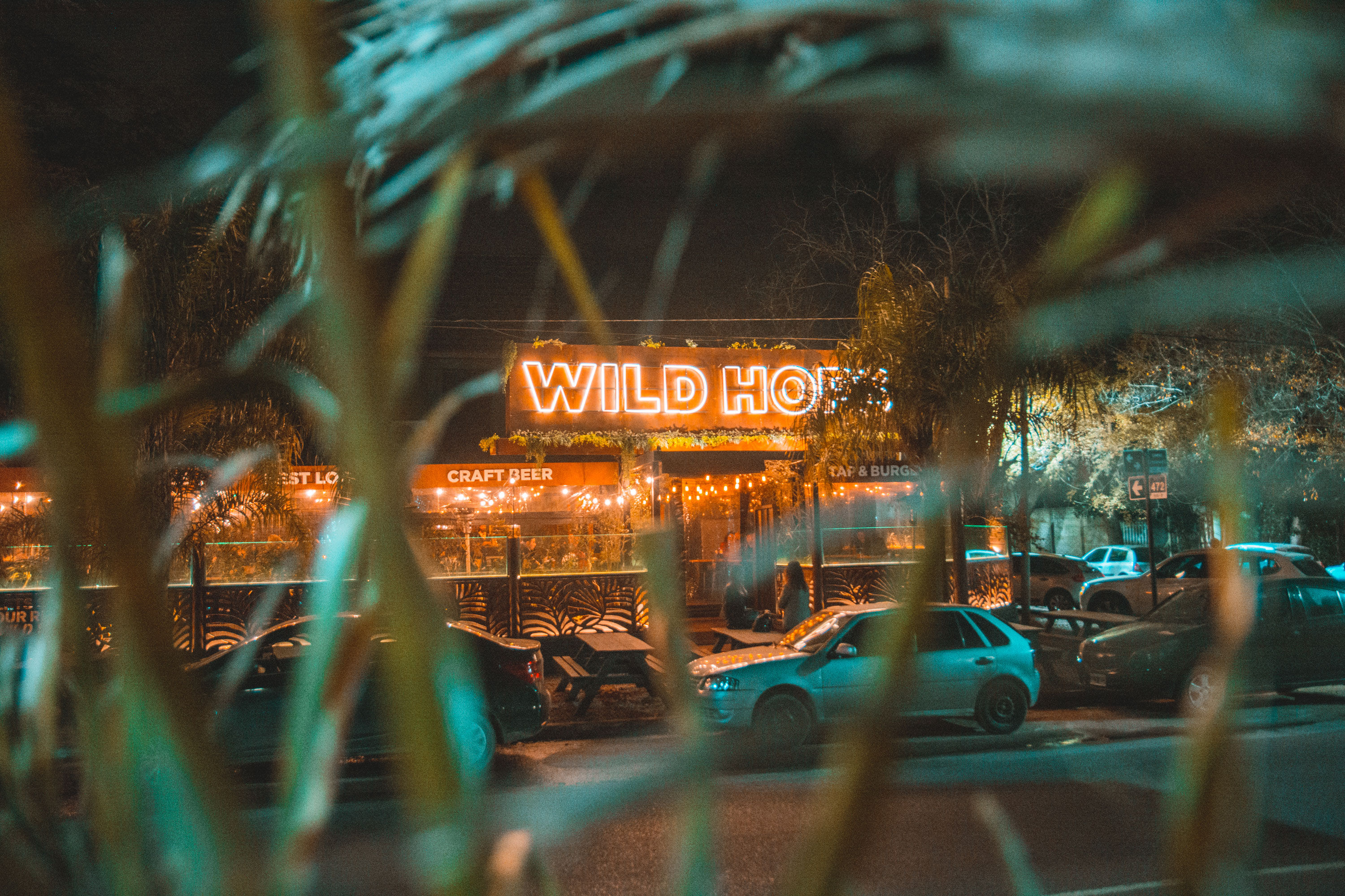 Wild Hops 啤酒品牌室内设计-48