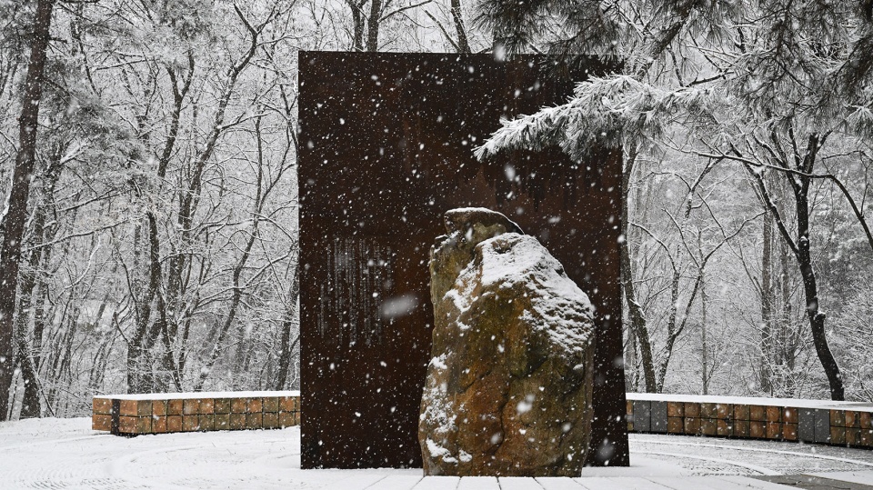 昆嵛山国家级自然保护区林场建立80周年纪念雕塑(烟台金刚碑)丨中国烟台丨大小景观-53