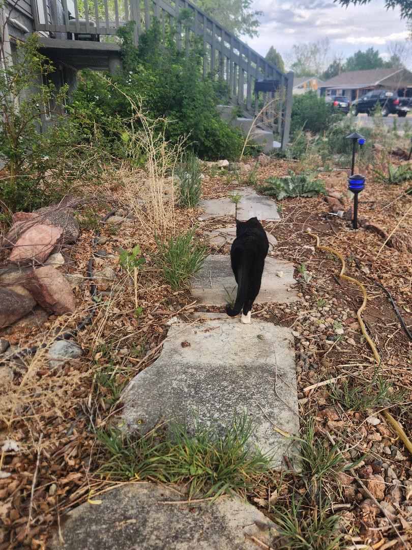 Orion Landscape Design-5