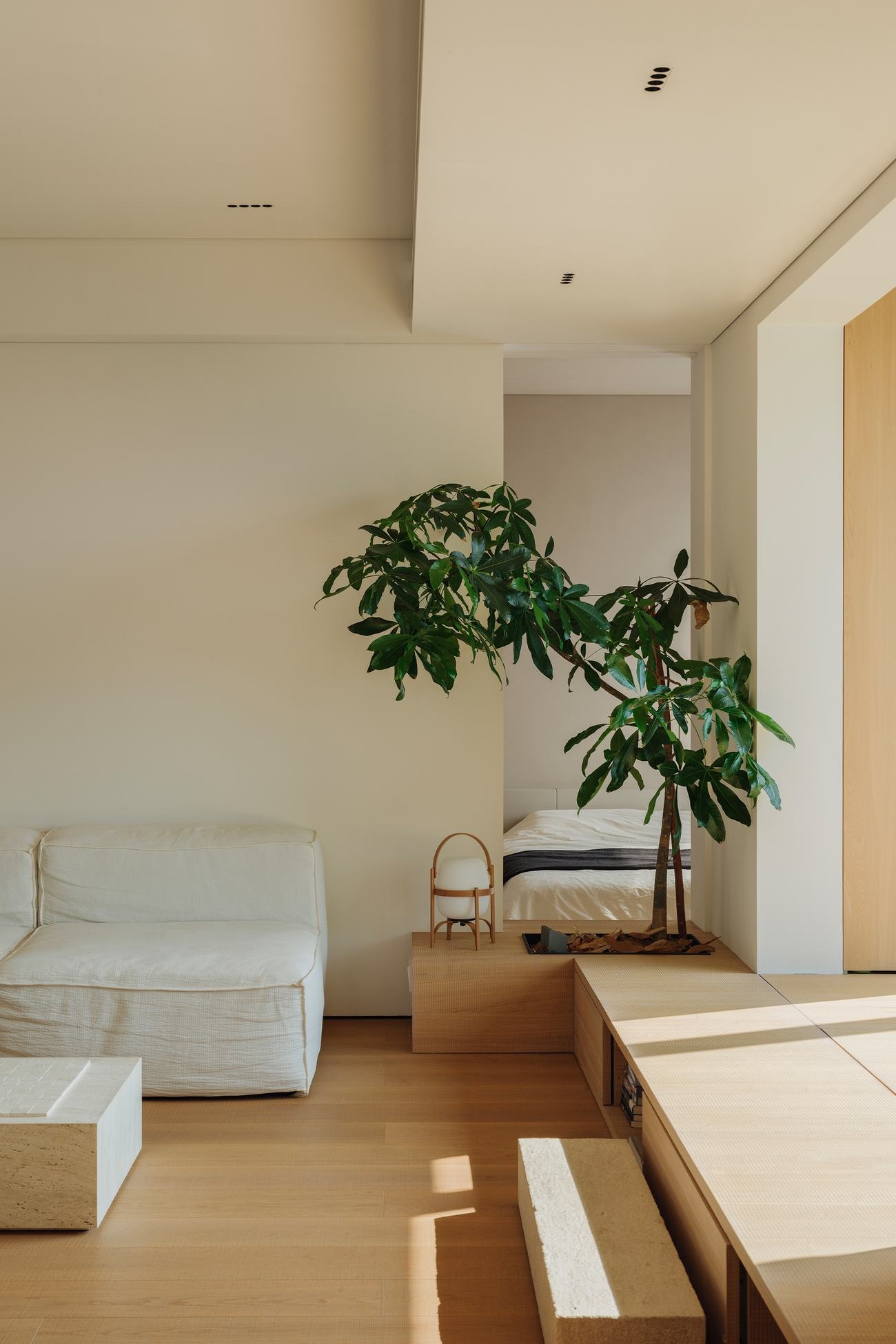 伊甸园 | KINJO DESIGN幾築空间设计-10