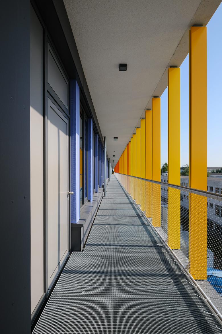 Krug Grossmann Architekten丨Neubau Grund- und Mittelschule mit Sporthalle an der Bernaysstraße丨德国-4