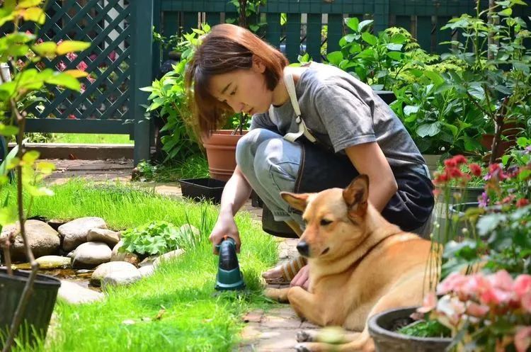 90后夫妻用4年时间,在魔都造了60平米花园,遛狗逗猫,好不惬意~-6