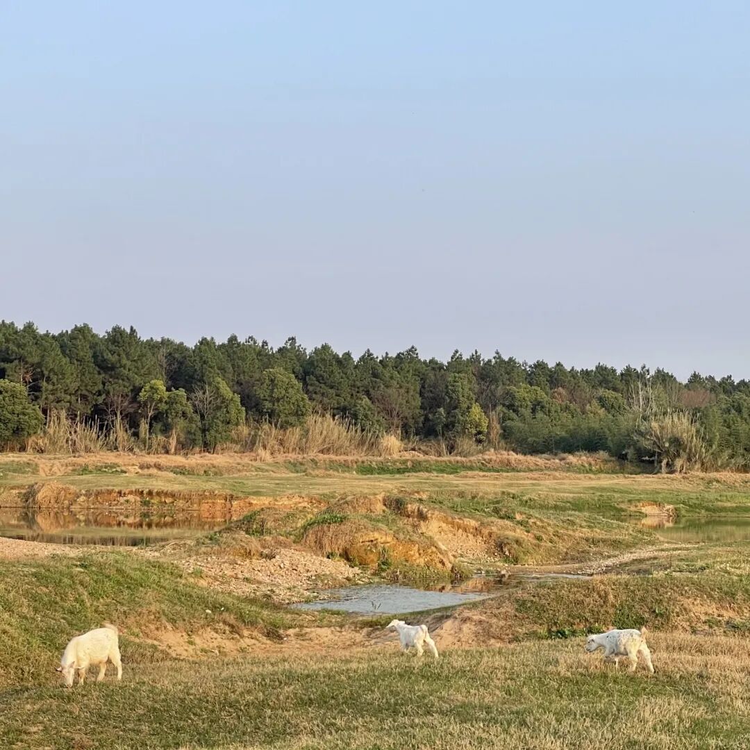 湿地洞窟配套驿站丨中国衢州丨Studio 10-11