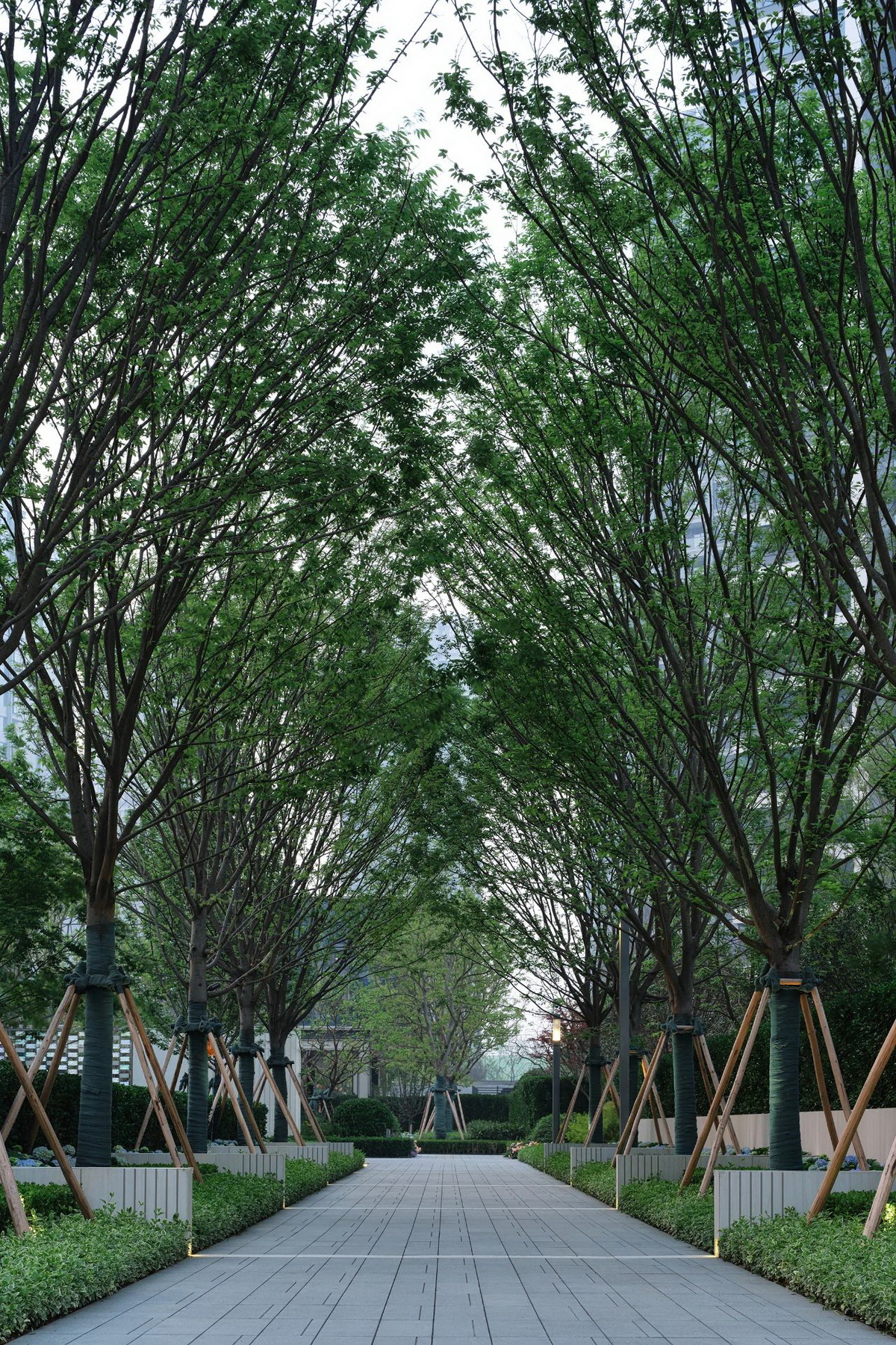 A&N尚源景观丨南京万科·翡翠滨江花园 景观设计 丨中国南京-75