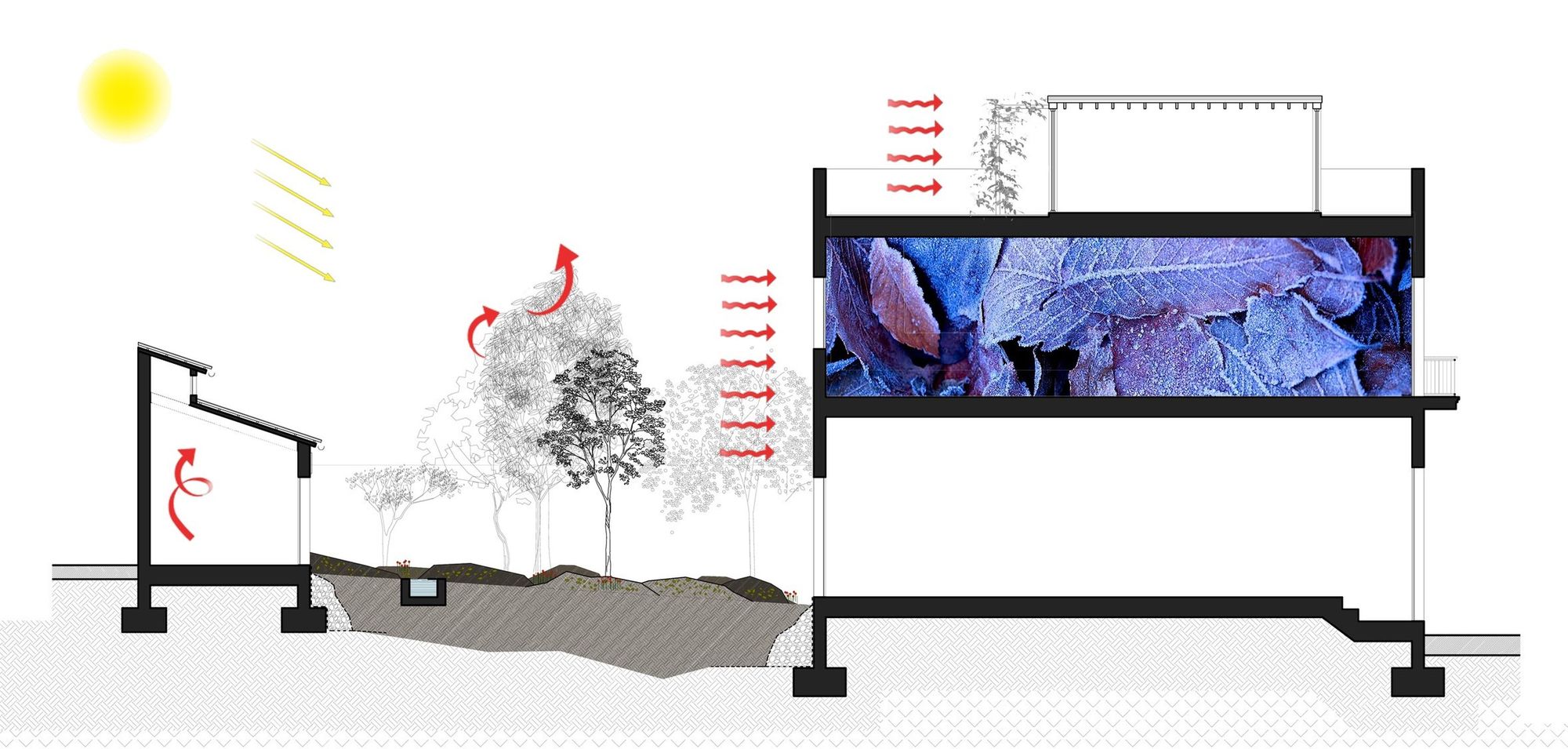 卡·拉加塔住宅丨西班牙巴塞罗那丨El Fil Verd,Estudi d'Arquitectura-66
