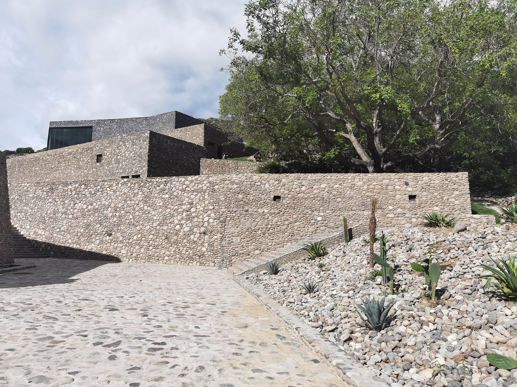 西藏曲孜卡壹捌陆伍酒庄 | 隐匿于雪山脚下的诗意酒香-33