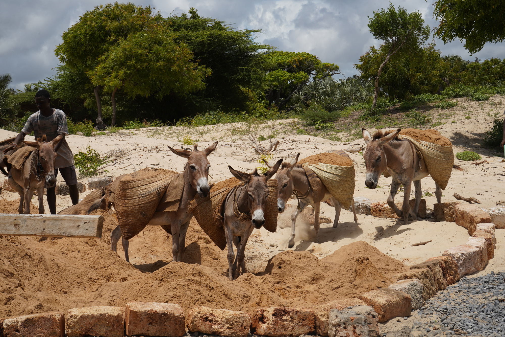 联排别墅丨肯尼亚-52