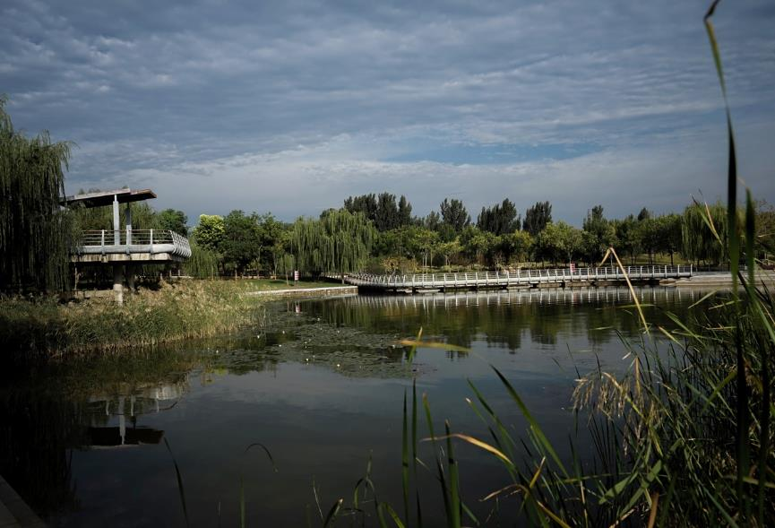 郑州象湖生态文化公园丨中国郑州丨北林地景-18