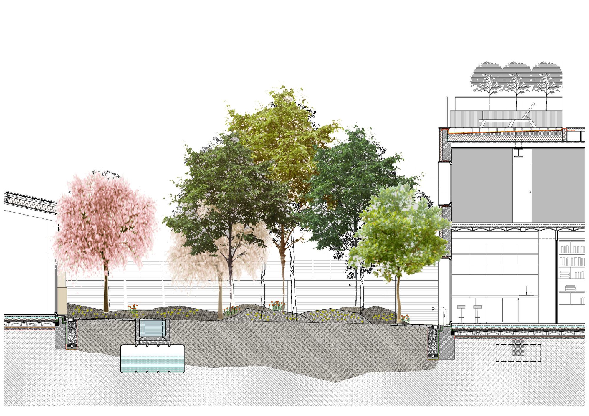 卡·拉加塔住宅丨西班牙巴塞罗那丨El Fil Verd,Estudi d'Arquitectura-65