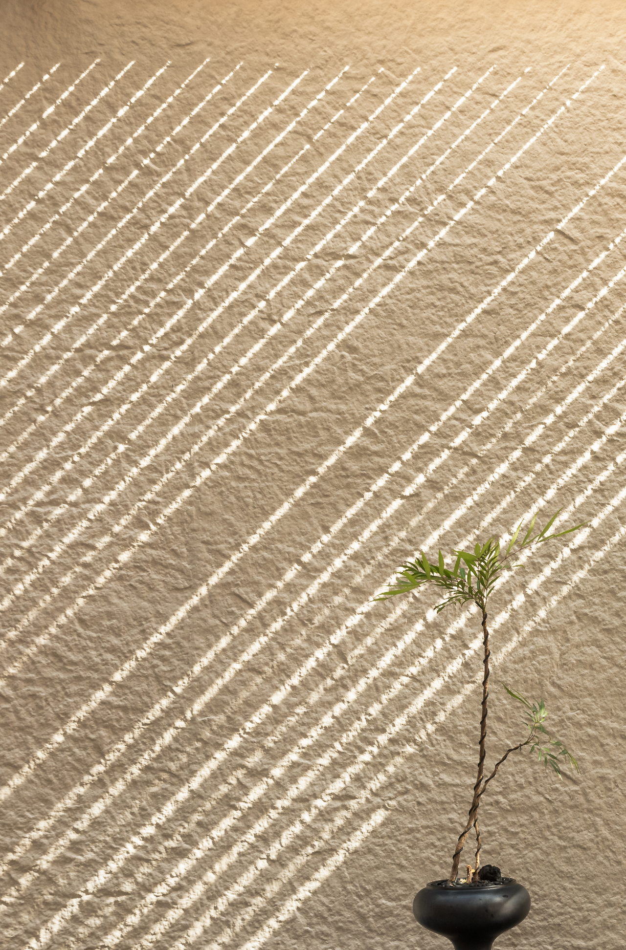 浙江意德美嘉温州展厅丨中国温州丨言禾内境设计-62