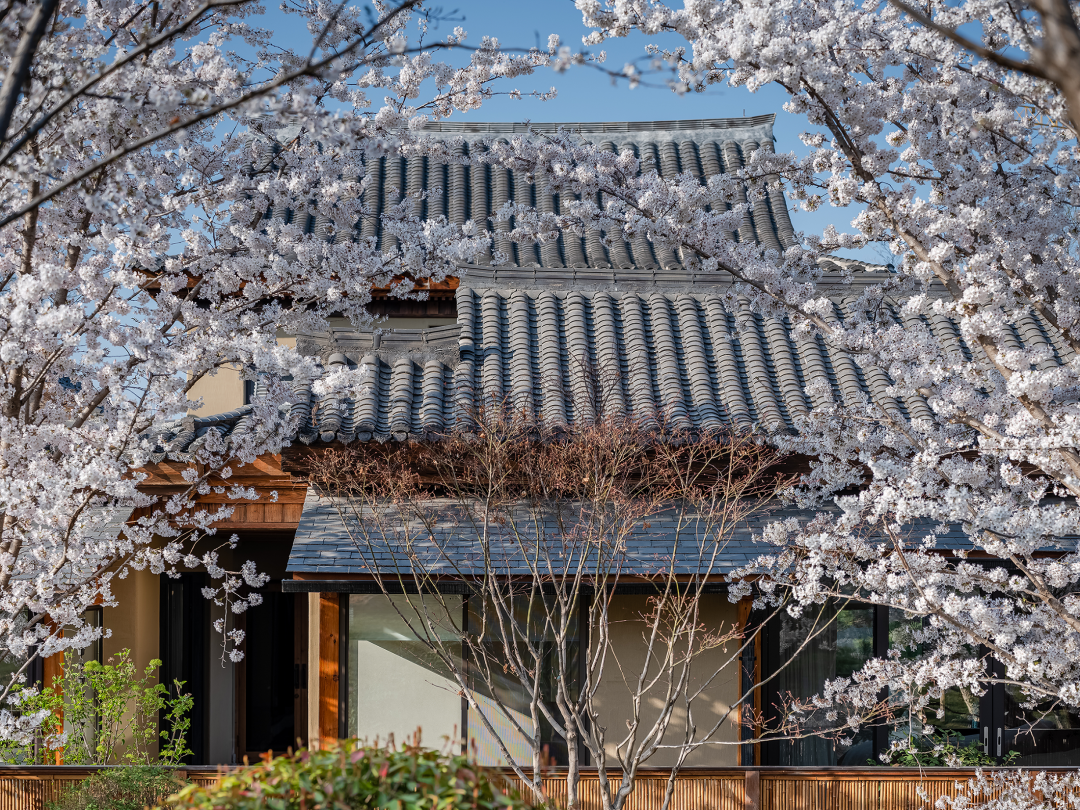 默园丨中国白山丨自在空间设计咨询有限公司-11