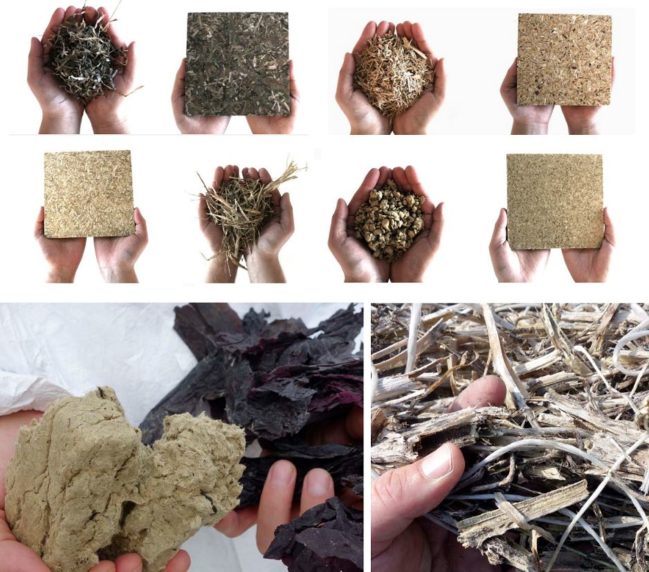 用番茄茎和藻类建造的生物住宅丨丹麦丨Een til Een建筑事务所-19