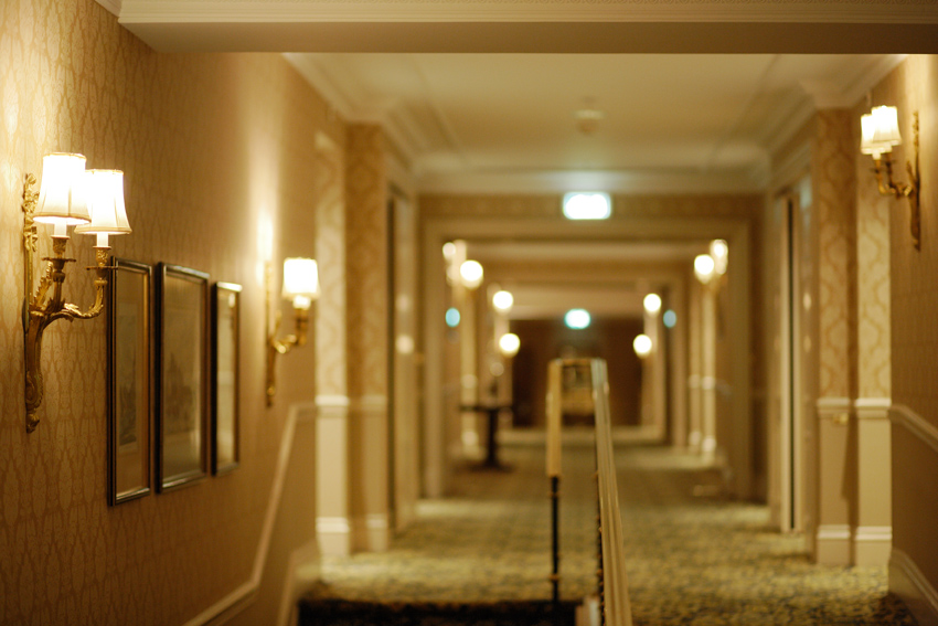 阿姆斯特丹洲际酒店(摄影图片)-21