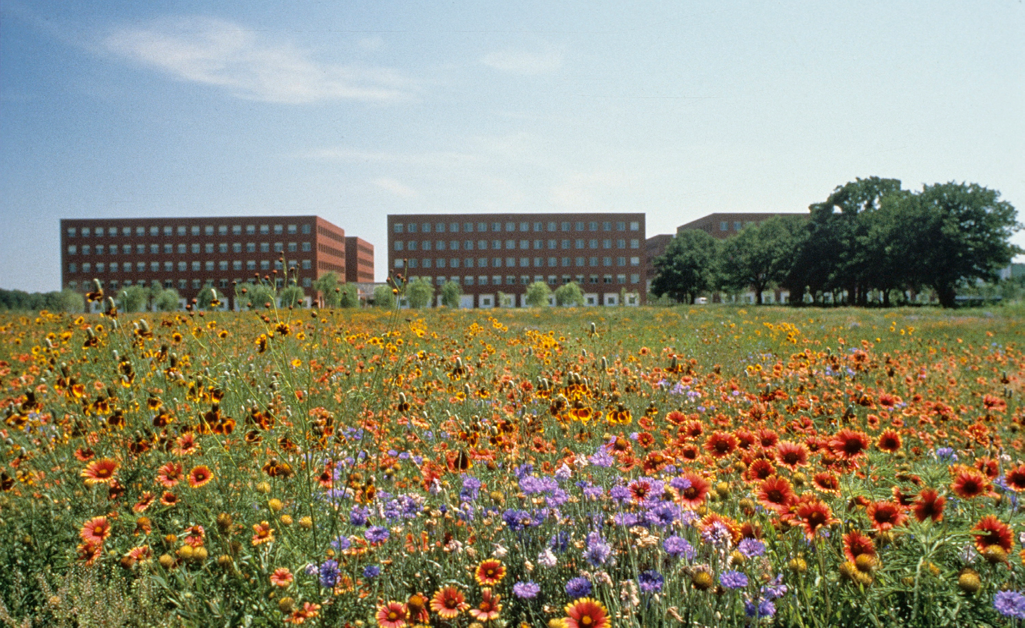 IBM Solana — PWP-1