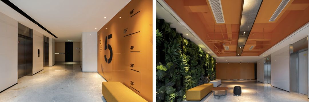 杭州泰隆学院室内设计 | 有声有色,构建活力空间-46